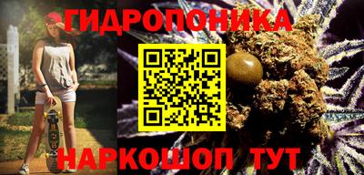 гашик Балахна