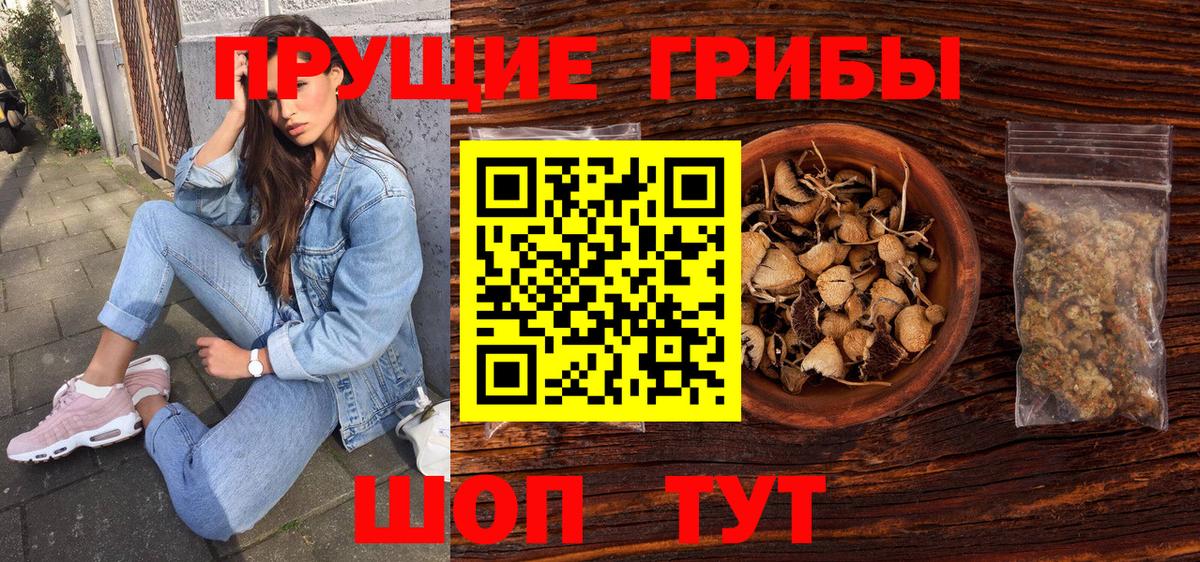 Псилоцибиновые грибы Psilocybe Екатеринбург